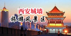 留学生含黑人大鸡巴中国陕西-西安城墙旅游风景区